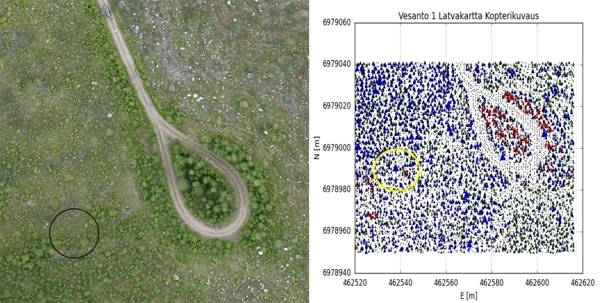 Maaseutu 2.0 -hankkeen artikkeli, kuva 6: Honkakankaan keskimmäisen lentoalueen lähtöpaikka sekä yksi koeala (musta/keltainen ympyrä). Vasemmalla n. 50% suurennus orthokuvasta, oikealla taimien tunnistus kopterikuvauksen pistepilvestä (T1, T2, 02).