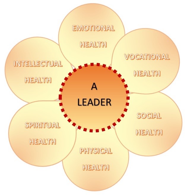 Figure 1. The 6 Dimensions of Health.